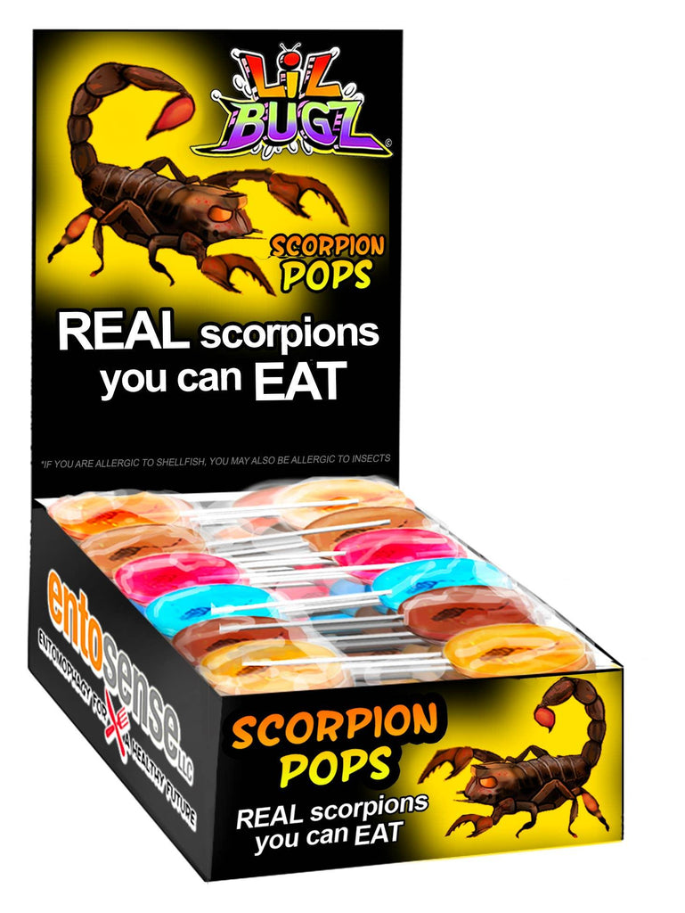 Scorpion Pops | Real Scorpions Encased in a Candy Sucker: Cotton Candy - Candycopia